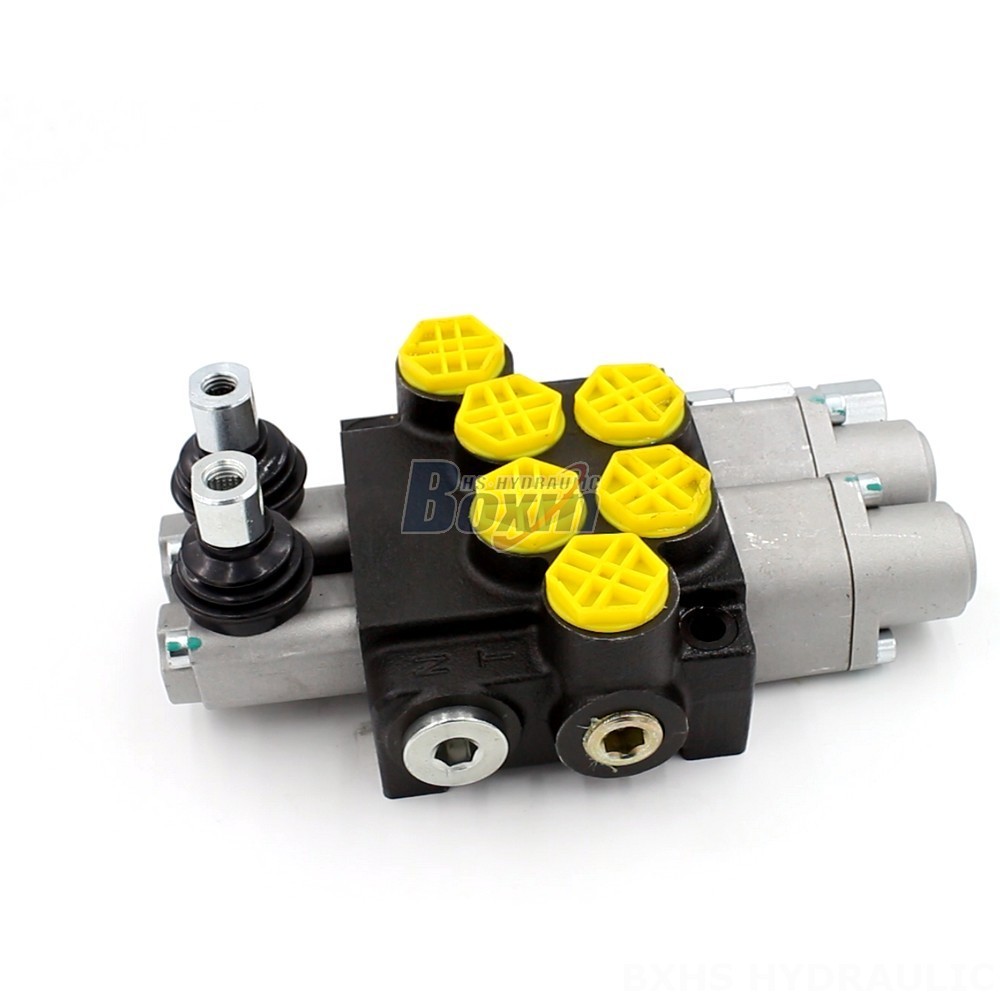 Monoblock Directional Valve P40-G12-2OT | Key Features & Advantages main image