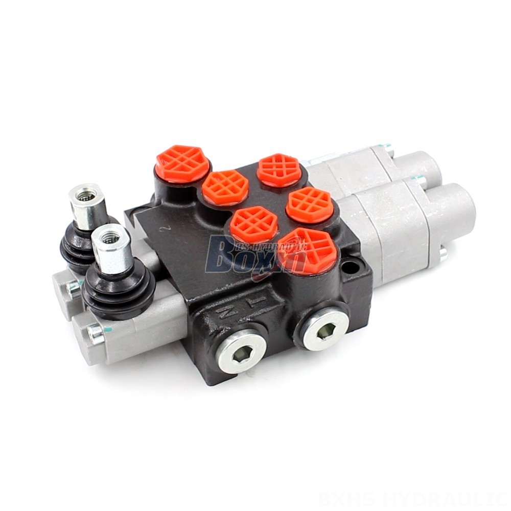 Private Label Program: Brand P40-G12-G38-2QTW Valves with Your Logo main image