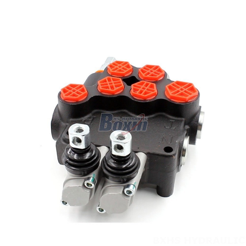 P80-AQF-G34-G12-2OT Manual 2 Spool Monoblock Directional Valve | Global Supplier cover photo