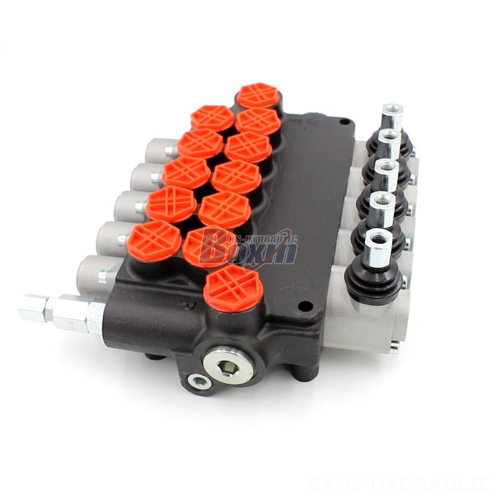 P80-G34-5OT Monoblock Directional Valve Ready to Ship main image