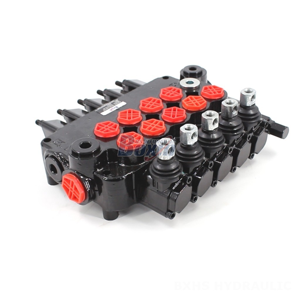 P80AZ Outrigger Control Valve: OEM & ODM Services Available main image
