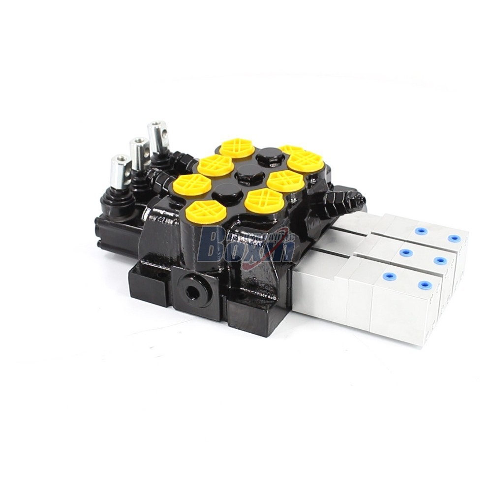 Leading Manufacturer of WZF-125 Monoblock Directional Valves main image